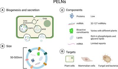 The Emerging Role of Plant-Derived Exosomes-Like Nanoparticles in Immune Regulation and Periodontitis Treatment